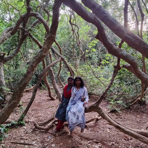 കണ്ണൂരില്‍ വന്നാല്‍ നീലിയാര്‍കോട്ടത്തെ കാട് കാണാതെ പോകരുത്…കഥകളും അപൂർവ സസ്യങ്ങളും കൊണ്ട് ചേതോഹരമായ കാവ്