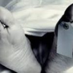 ഹരിദ്വാർ ആശുപത്രി മോർച്ചറിയിൽ മൃതദേഹത്തിന്റെ മുഖം എലികൾ കടിച്ചുകീറി; ബന്ധുക്കൾ മോർച്ചറി അടിച്ചു തകർത്തു